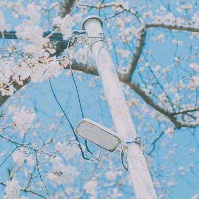 梦幻物语官方版下载